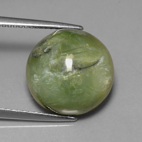 Serpentina naturale verde da 7,86 ct, taglio rotondo, opaco