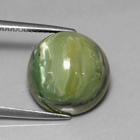 Serpentina naturale verde da 8,26 ct, taglio rotondo, opaco