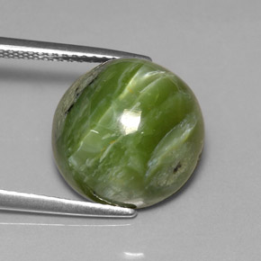 Serpentina naturale verde da 7,28 ct, taglio rotondo, opaco
