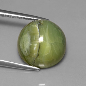 Serpentina naturale verde da 7,23 ct, taglio rotondo, opaco