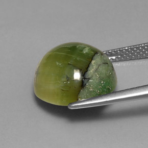 Serpentina naturale verde da 6,30 ct, taglio rotondo, opaco