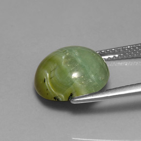 Serpentina naturale verde da 4,61 ct, taglio rotondo, opaco