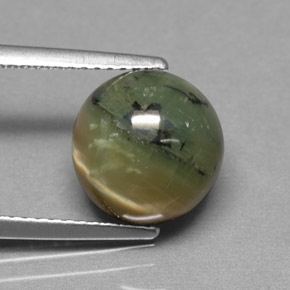 Serpentina naturale verde da 3,63 ct, taglio rotondo, opaco