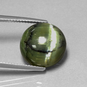 Serpentina naturale verde da 7,53 ct, taglio rotondo, opaco