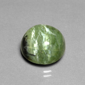 Serpentina naturale verde da 7,91 ct, taglio rotondo, opaco