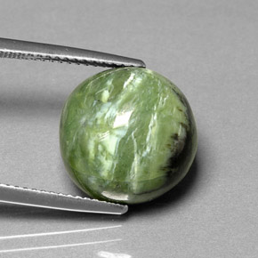 Serpentina naturale verde da 7,91 ct, taglio rotondo, opaco