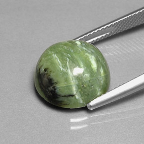 Serpentina naturale verde da 7,91 ct, taglio rotondo, opaco