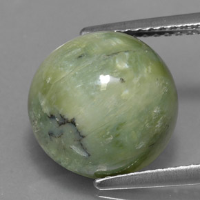 Serpentina naturale verde da 5,17 ct, taglio rotondo, opaco