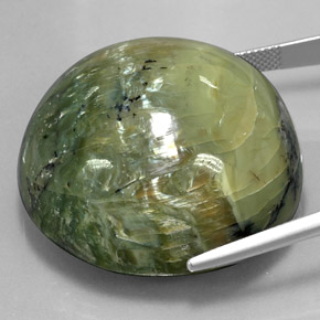 Serpentina naturale verde da 122,80 ct, taglio rotondo, opaco