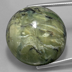 Serpentina naturale verde da 58,61 ct, taglio rotondo, opaco
