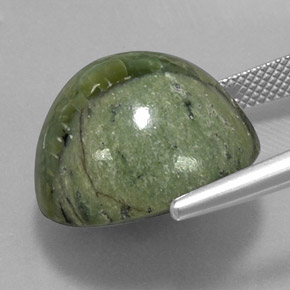 Serpentina naturale verde da 20,97 ct, taglio rotondo, opaco