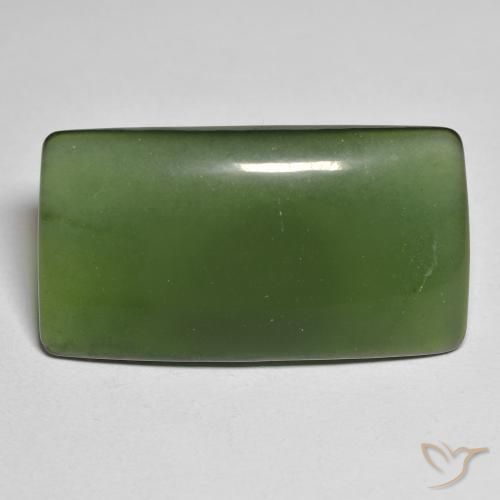 25.58ct Naturale Verde scuro Serpentinite, Cuscino, Traslucido