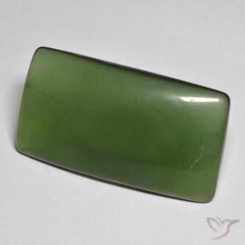 Serpentinite Verde scuro naturale da 25.58 ct, Cuscino, Traslucido