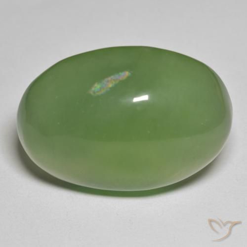 49.70ct Naturale Alghe Verdi Serpentinite, Ovale, Traslucido