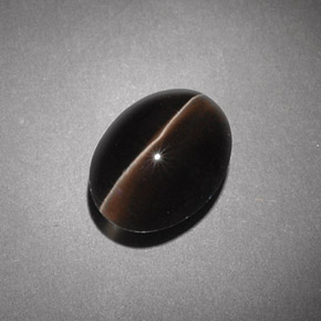 Sillimanite cat's eye naturale marrone da 4,54 ct, trasparente, trasparente/traslucido