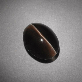 Sillimanite cat's eye naturale marrone da 4,54 ct, trasparente, trasparente/traslucido