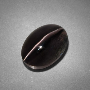 Sillimanite cat's eye naturale grigio da 4,45 ct, trasparente, trasparente/traslucido