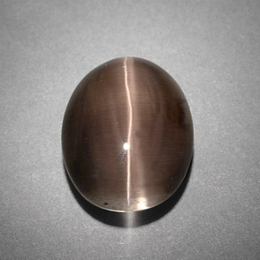 Sillimanite cat's eye naturale grigio da 4,25 ct, trasparente, trasparente/traslucido