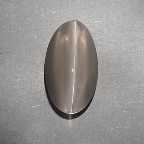Sillimanite cat's eye naturale marrone da 7,02 ct, trasparente, trasparente/traslucido