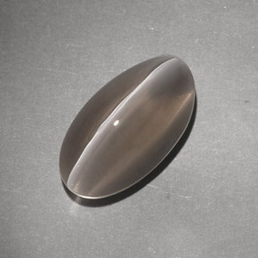 Sillimanite cat's eye naturale marrone da 7,02 ct, trasparente, trasparente/traslucido