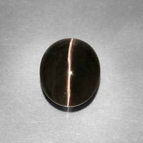 Sillimanite cat's eye naturale grigio da 4,11 ct, trasparente, trasparente/traslucido