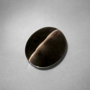 Sillimanite cat's eye naturale grigio da 4,11 ct, trasparente, trasparente/traslucido