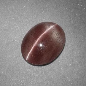 Sillimanite cat's eye naturale marrone da 1,60 ct, taglio ovale, traslucido