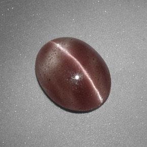 Sillimanite cat's eye naturale marrone da 1,60 ct, taglio ovale, traslucido