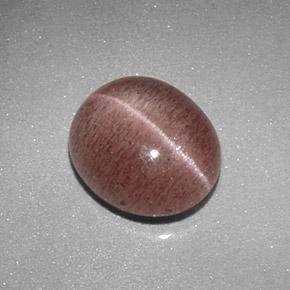 Sillimanite cat's eye naturale marrone da 2,04 ct, taglio ovale, traslucido