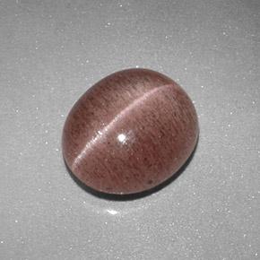 Sillimanite cat's eye naturale marrone da 2,04 ct, taglio ovale, traslucido