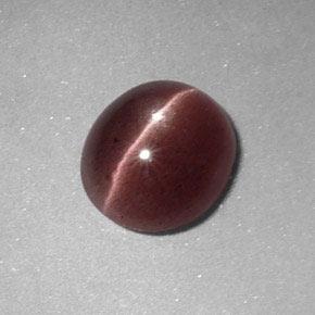 Sillimanite cat's eye naturale marrone da 1,64 ct, taglio ovale, opaco