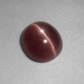 Sillimanite cat's eye naturale marrone da 1,64 ct, taglio ovale, opaco