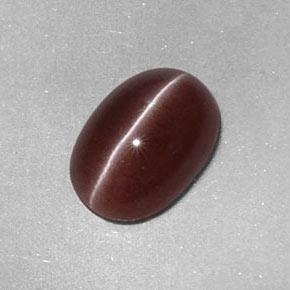 Sillimanite cat's eye naturale marrone da 2,05 ct, taglio ovale, opaco