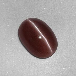 Sillimanite cat's eye naturale marrone da 2,05 ct, taglio ovale, opaco