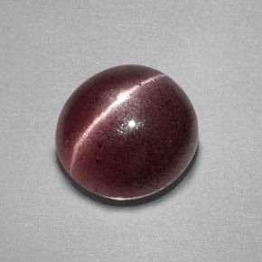 Sillimanite cat's eye naturale marrone da 2,55 ct, trasparente, trasparente/traslucido