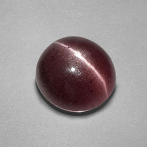 Sillimanite cat's eye naturale marrone da 2,55 ct, trasparente, trasparente/traslucido
