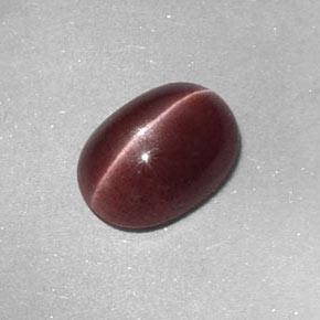Sillimanite cat's eye naturale marrone da 1,58 ct, taglio ovale, opaco