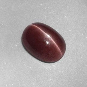 Sillimanite cat's eye naturale marrone da 1,58 ct, taglio ovale, opaco