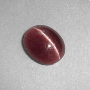 Sillimanite cat's eye naturale marrone da 1,26 ct, trasparente, trasparente/traslucido