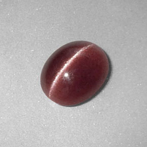 Sillimanite cat's eye naturale marrone da 1,26 ct, trasparente, trasparente/traslucido