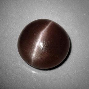 Sillimanite cat's eye naturale marrone da 6,99 ct, taglio rotondo, opaco
