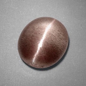 Sillimanite cat's eye naturale marrone da 3,38 ct, trasparente, trasparente/traslucido