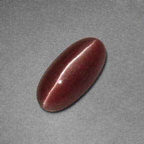 Sillimanite cat's eye naturale marrone da 1,12 ct, trasparente, trasparente/traslucido