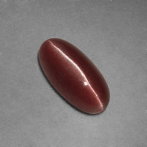Sillimanite cat's eye naturale marrone da 1,12 ct, trasparente, trasparente/traslucido
