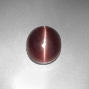 Sillimanite cat's eye naturale marrone da 3,29 ct, taglio ovale, opaco