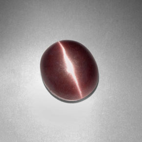 Sillimanite cat's eye naturale marrone da 3,29 ct, taglio ovale, opaco