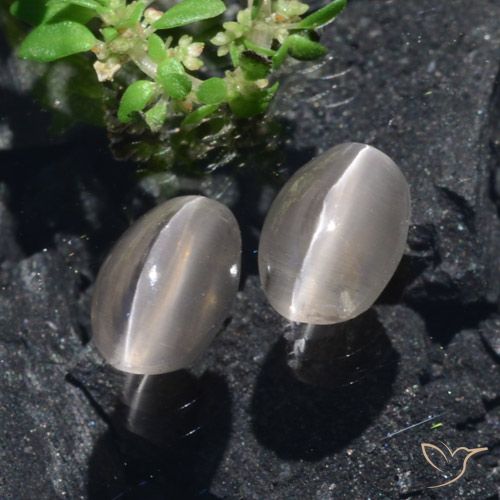 2.20ctw Naturale Grigio molto chiaro Sillimanite effetto occhio di gatto, Ovale, Traslucido