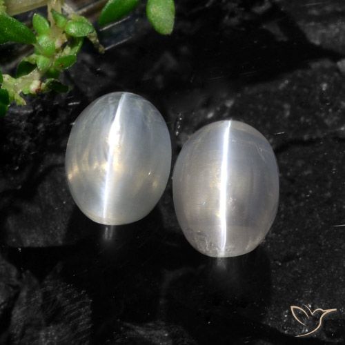2.61ctw Naturale Grigio molto chiaro Sillimanite effetto occhio di gatto, Ovale, Traslucido