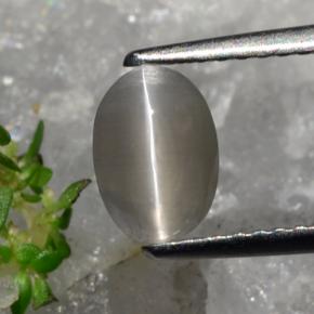 Sillimanite Occhio di Gatto Marrone grigio naturale da 1.23 ct, Taglio ovale, Traslucido