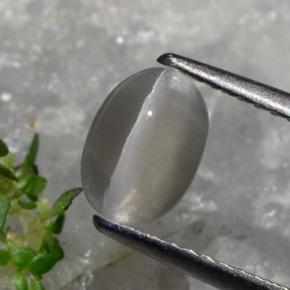 Sillimanite Occhio di Gatto Marrone grigio naturale da 1.23 ct, Taglio ovale, Traslucido